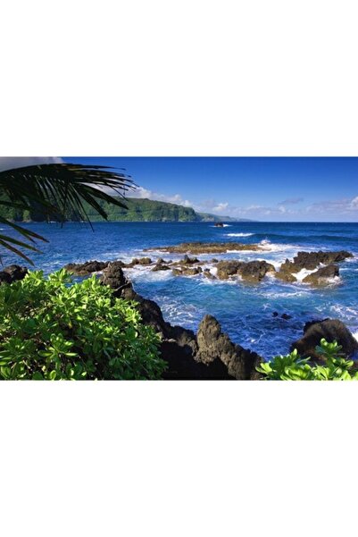 GRELYS PRINT Tablou Canvas, Dimineata in ocean, 80 x 50 cm, Rama lemn, Multic...