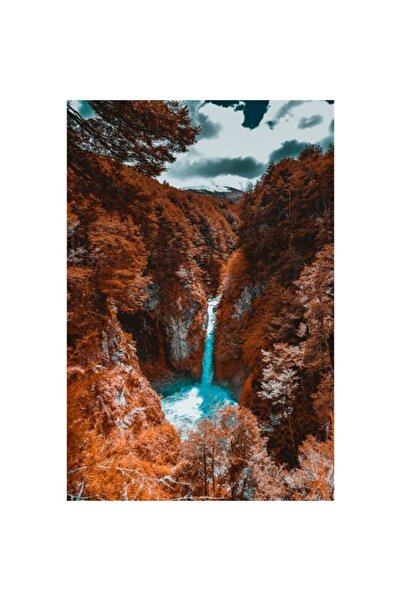 GRELYS PRINT Tablou Canvas, Turcoaz , 60 x 90 cm, Rama lemn, Multicolor