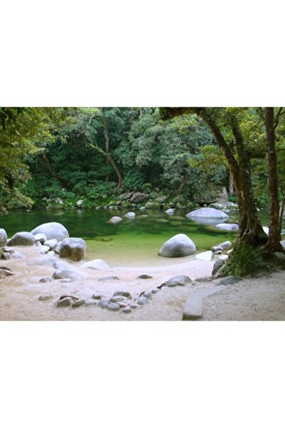 GRELYS PRINT Pictură pe pânză, Natură, Apă, Pădure, Pietre, 80 x 60 cm, Multi...