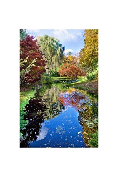 GRELYS PRINT Tablou Canvas, Culori din parc, 45 x 60 cm, Rama lemn, Multicolor