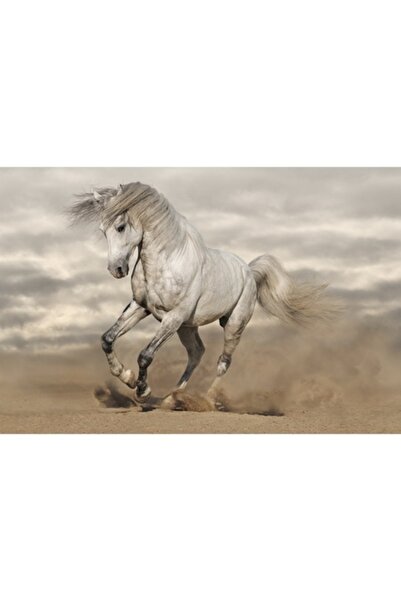 GRELYS PRINT Tablou Canvas, Cal, 90 x 60 cm, Rama lemn, Multicolor