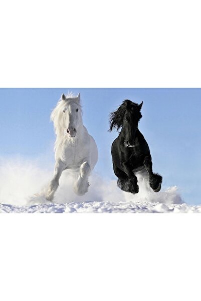 GRELYS PRINT Pictură pe pânză, Peisaj, Iarnă, Zăpadă, Cai alergând, 80 x 50 c...