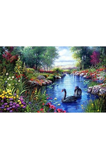 GRELYS PRINT Pictură pe pânză, Lebede negre, 80 x 50 cm, ramă din lemn, multi...