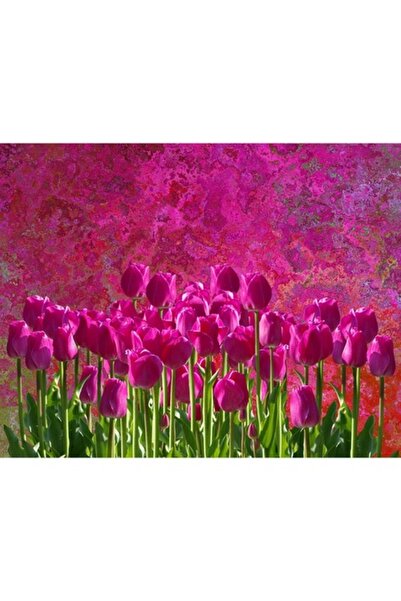 GRELYS PRINT Pictură pe pânză, Lalele și nuanțe, 80 x 60 cm, Ramă din lemn, M...