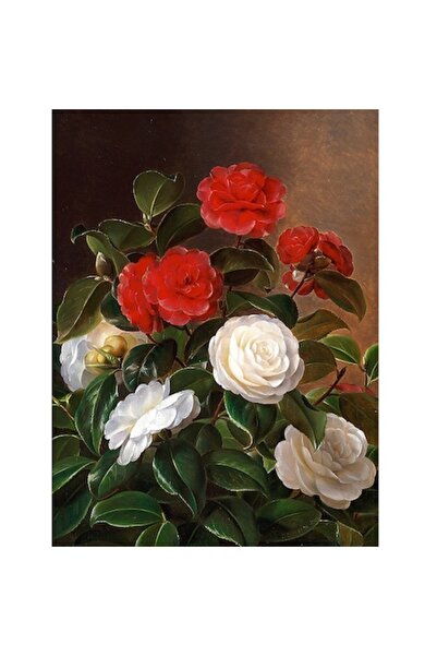 GRELYS PRINT Tablou Canvas, Floare, Camelie, I.L.Jensen, 45 x 60 cm, Rama lem...