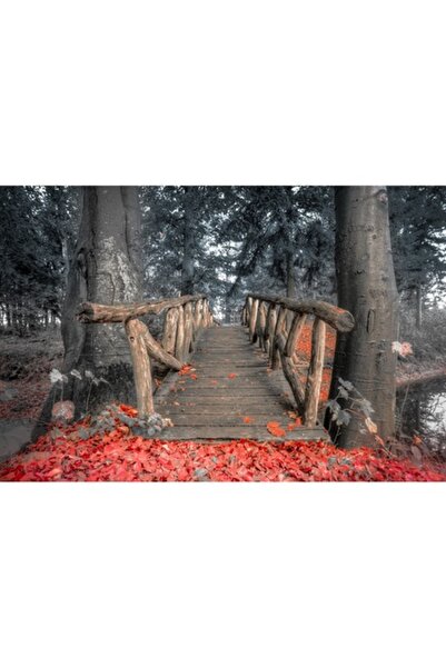 GRELYS PRINT Tablou Canvas, Pod de lemn, Frunze rosii, 90 x 60 cm, Rama lemn,...