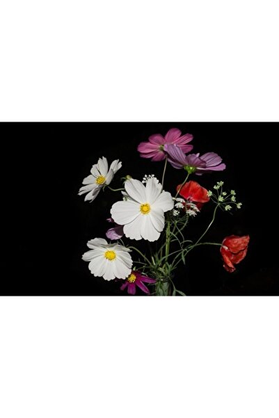 GRELYS PRINT Pictură pe pânză, Buchet de flori sălbatice, 80 x 50 cm, Ramă di...