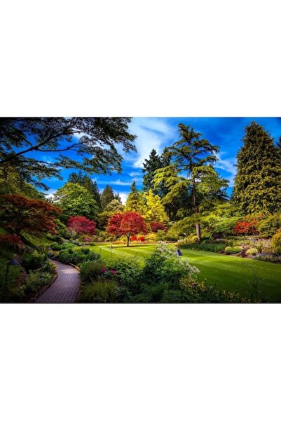 GRELYS PRINT Tablou Canvas, Vara in parc, 90 x 60 cm, Rama lemn, Multicolor