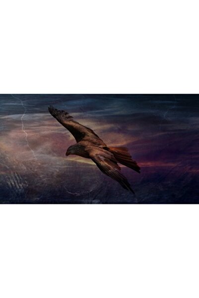 GRELYS PRINT Pictură pe pânză, Vultur zburător, 90 x 50 cm, Multicolor