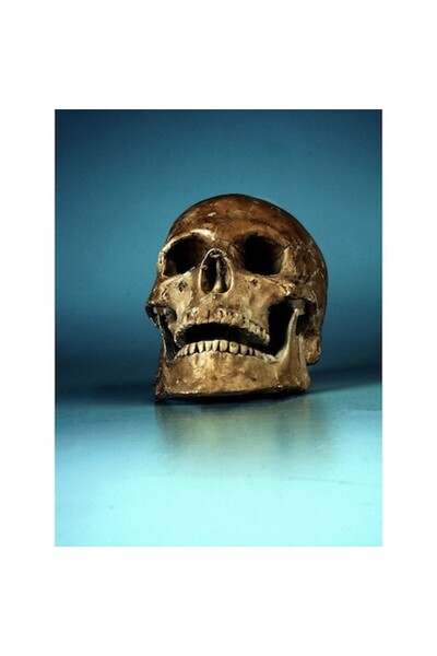 GRELYS PRINT Tablou pânză, Craniu auriu, 60 x 80 cm, Ramă din lemn, Multicolor