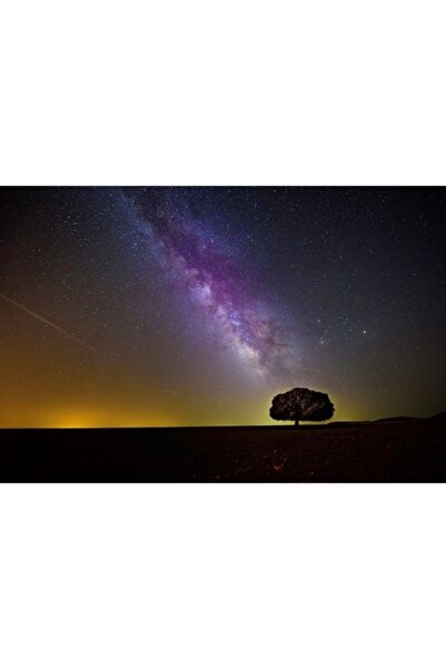 GRELYS PRINT Pictură pe pânză, Copac printre stele, 90 x 60 cm, ramă din lemn...