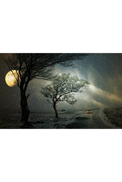 GRELYS PRINT Tablou Canvas, Drum printre stele, 80 x 50 cm, Rama lemn, Multic...