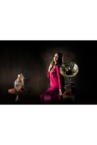 GRELYS PRINT Pictură pe pânză, Gramofon, 90 x 60 cm, Ramă din lemn, Multicolor