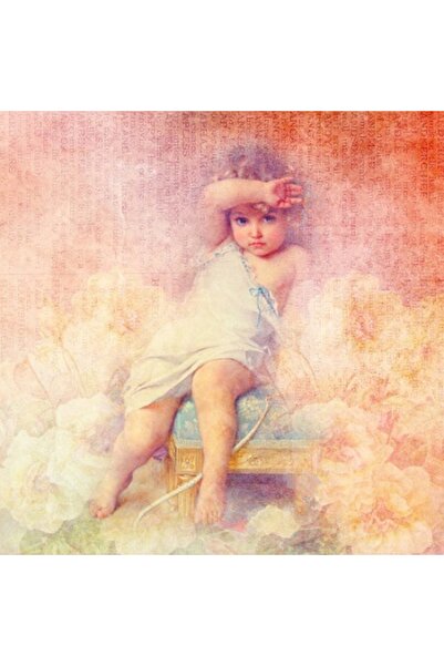 GRELYS PRINT Tablou Canvas, Inocenta, 45 x 45 cm, Rama lemn, Multicolor