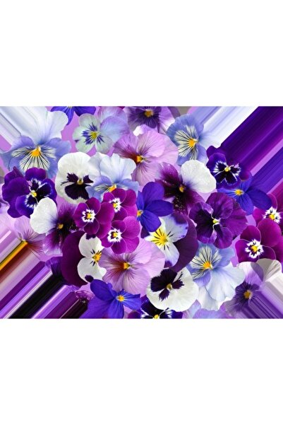 GRELYS PRINT Pictură pe pânză, panseluțe abstracte, 80 x 60 cm, ramă din lemn...