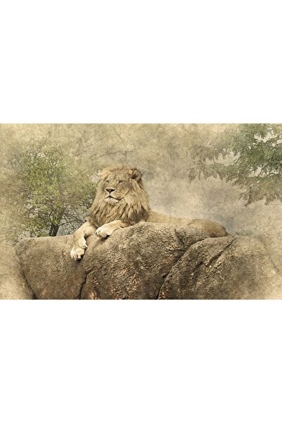 GRELYS PRINT Tablou pe pânză, Regele Leu, 80 x 50 cm, Multicolor