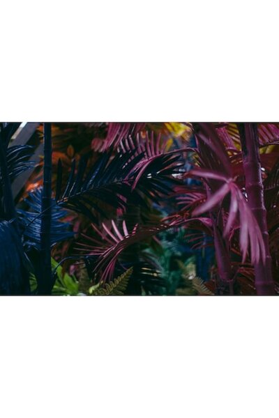 GRELYS PRINT Pictură pe pânză, Tropical, 80 x 50 cm, Ramă din lemn, Multicolor