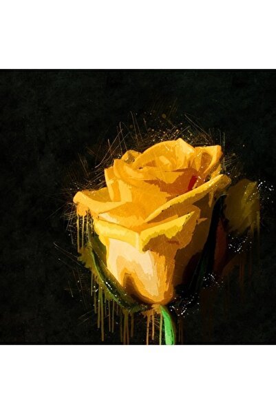 GRELYS PRINT Tablou Canvas, Yellow rose, 70 x 70 cm, Rama lemn, Multicolor