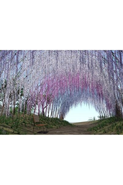 GRELYS PRINT Tablou Canvas, Tunel de flori, 70 x 50 cm, Rama lemn, Multicolor