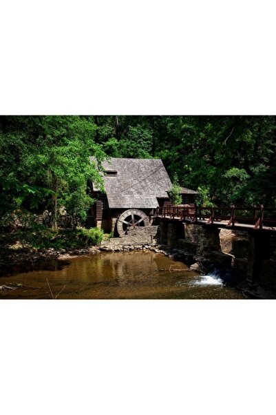 GRELYS PRINT Pictură pe pânză, Moară de apă, 80 x 50 cm, Ramă din lemn, Multi...