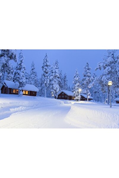 GRELYS PRINT Tablou Canvas, Peisaj de iarna, 80 x 50 cm, Rama lemn, Multicolor