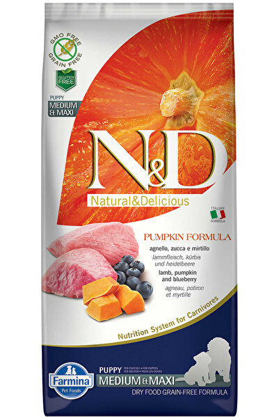N&D ND Pumpkin Tahılsız Kuzu Eti Balkabağı ve Yaban Mersinli Orta ve Büyük Irk Yavru Köpek Maması 12kg