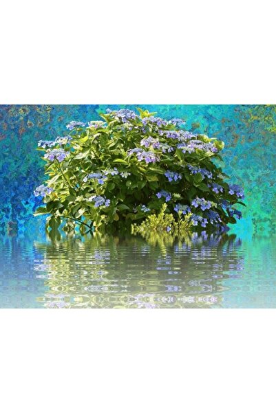 GRELYS PRINT Tablou Canvas, In oglinda, 80 x 60 cm, Rama lemn, Multicolor