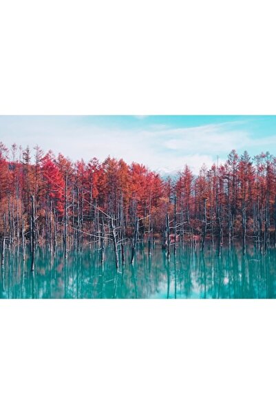 GRELYS PRINT Tablou Canvas, Rosu si turcoaz, 90 x 60 cm, Rama lemn, Multicolor