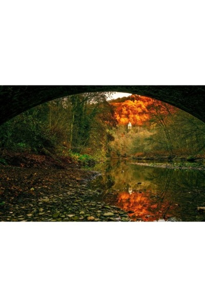 GRELYS PRINT Tablou Canvas, Pod, Padure, 1972, 90 x 60 cm, Rama lemn, Multicolor