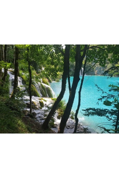 GRELYS PRINT Pictură pe pânză, Lac de munte, Pădure, 80 x 60 cm, Multicolor