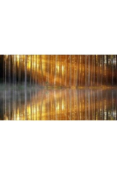 GRELYS PRINT Pictură pe pânză, Ceață, 90 x 50 cm, Ramă din lemn, Multicolor