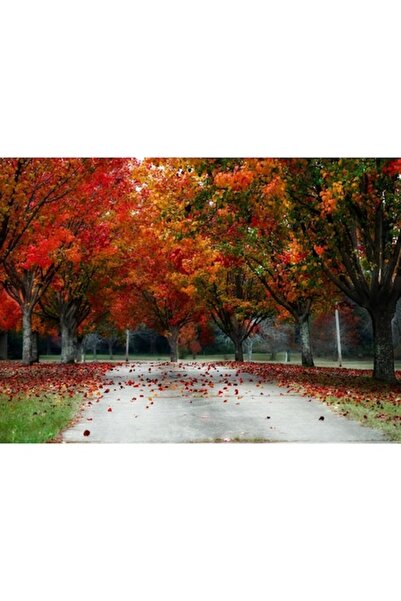 GRELYS PRINT Pictură pe pânză, Parc Roșu, 70 x 50 cm, Ramă din lemn, Multicolor