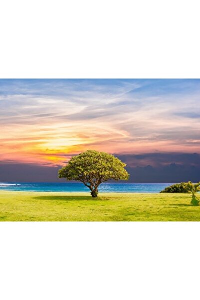 GRELYS PRINT Pictură pe pânză, Cer înnorat, Copac, 70 x 50 cm, Multicolor