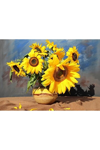 GRELYS PRINT Tablou Canvas, Floarea soarelui 2, 70 x 50 cm, Rama lemn, Multic...