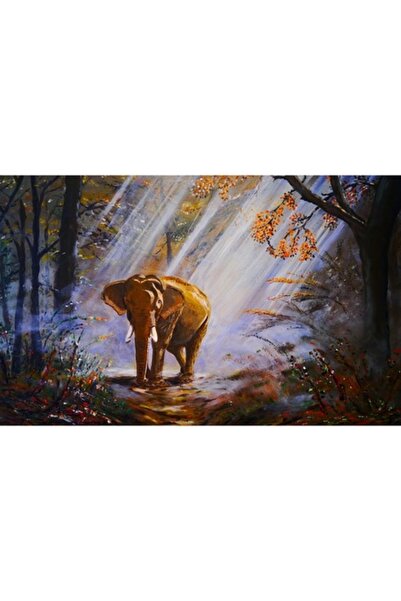 GRELYS PRINT Tablou Canvas, Elefant, Raze de lumina, 80 x 50 cm, Multicolor