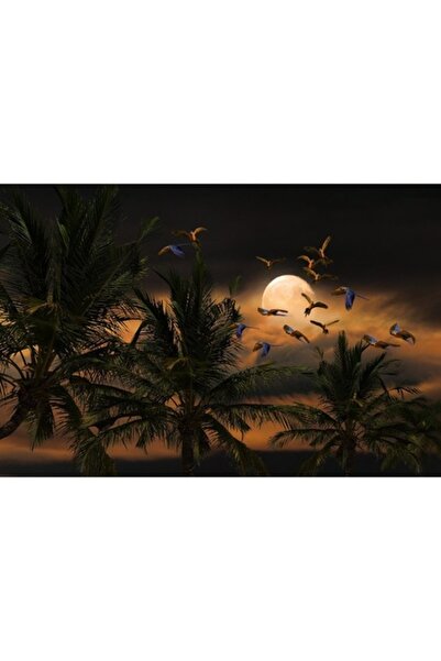 GRELYS PRINT Tablou Canvas, Noapte cu palmieri, 70 x 50 cm, Rama lemn, Multic...