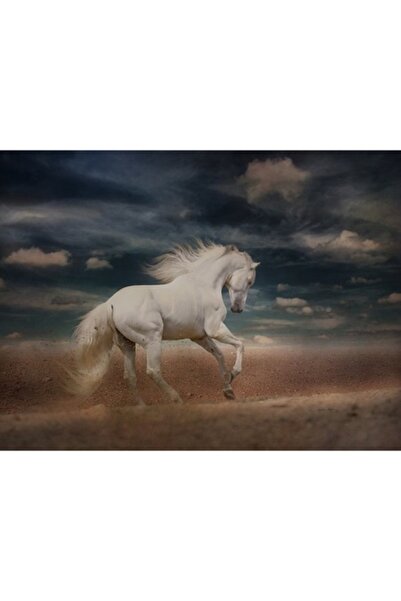 GRELYS PRINT Tablou Canvas, Cal alb, Cer inorat, 80 x 60 cm, Rama lemn, Multi...