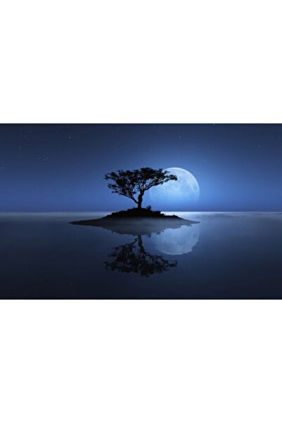 GRELYS PRINT Pictură pe pânză, individuală, 80 x 50 cm, ramă din lemn, multic...