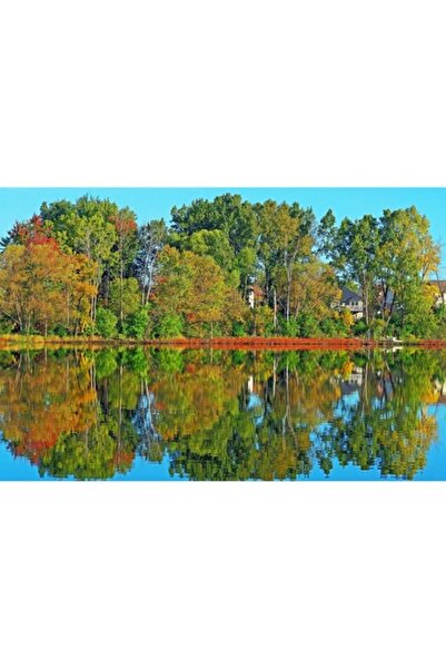 GRELYS PRINT Pictură pe pânză, Reflecții lac, 90 x 60 cm, Ramă din lemn, Mult...