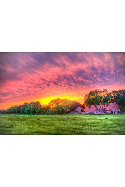 GRELYS PRINT Imprimeu pe pânză, Cer înnorat, Copaci, Culori, 90 x 60 cm, Ramă...