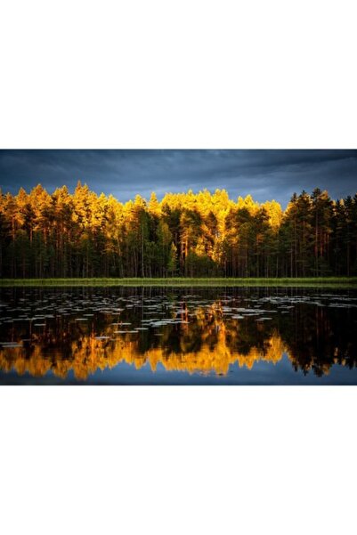 GRELYS PRINT Pictură pe pânză, Toamnă în oglindă, 90 x 60 cm, Ramă din lemn, ...