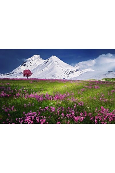 GRELYS PRINT Tablou Canvas, Primavara roz, 80 x 50 cm, Rama lemn, Multicolor