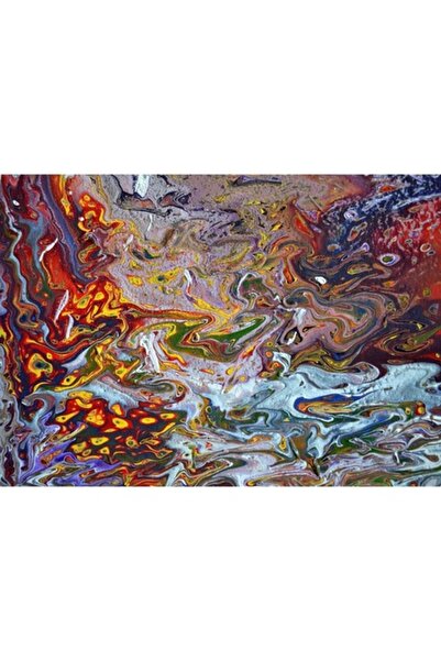 GRELYS PRINT Tablou Canvas, Abstract 59, 70 x 50 cm, Rama lemn, Multicolor