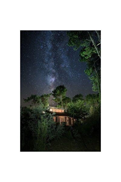 GRELYS PRINT Tablou Canvas, Stele, 60 x 90 cm, Rama lemn, Multicolor