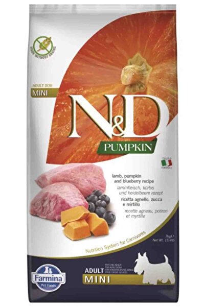 N&D ND Pumpkin Tahılsız Kuzu Eti Balkabağı ve Yaban Mersinli Küçük Irk Yetişk...