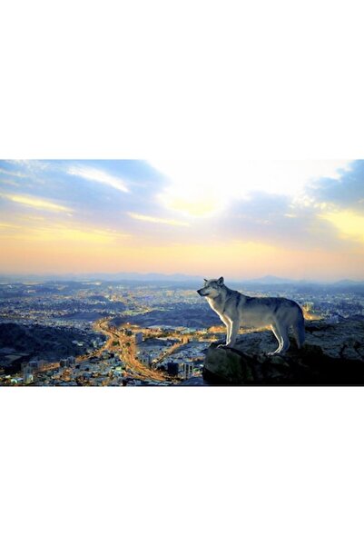 GRELYS PRINT Pictură pe pânză, Oraș, Lumini, Lup, 80 x 50 cm, Multicolor