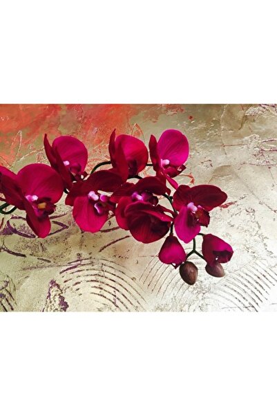 GRELYS PRINT Tablou Canvas, Orhidee roz, 80 x 50 cm, Rama lemn, Multicolor