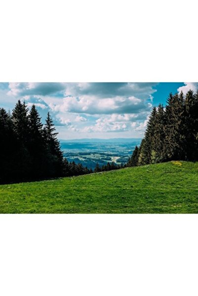 GRELYS PRINT Tablou Canvas, Cer innorat, Padure, 90 x 60 cm, Rama lemn, Multi...