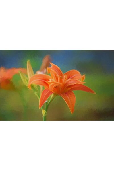 GRELYS PRINT Tablou Canvas, Crin pictat, 80 x 50 cm, Rama lemn, Multicolor