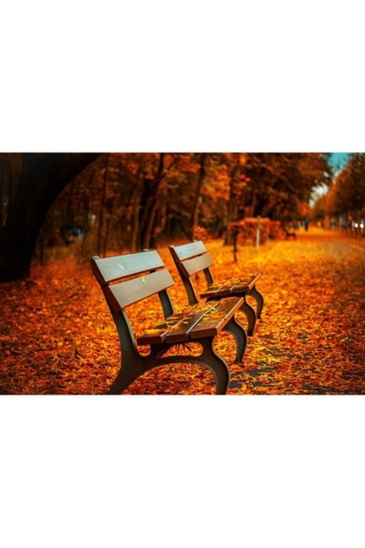 GRELYS PRINT Pictură pe pânză, Bancă în parc, 80 x 50 cm, Ramă din lemn, Mult...